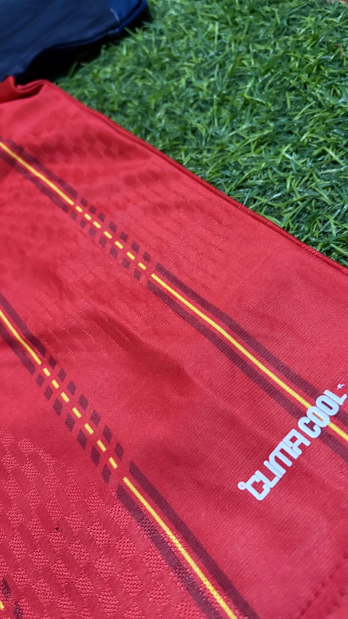 Spain 2 stars new kit with world cup badge