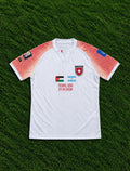 Jordan World Cup jersey